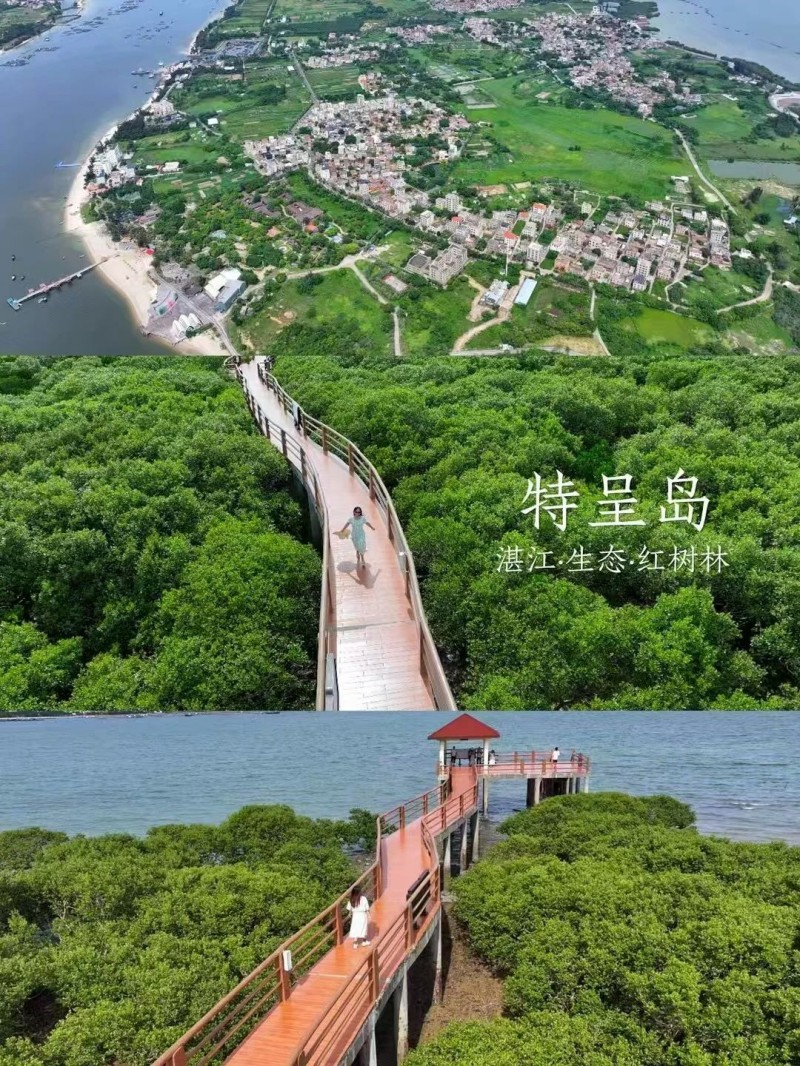 6890737682d54.jpg