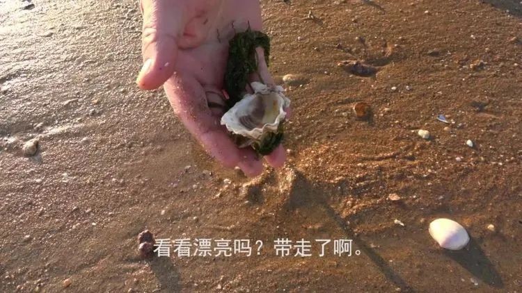 微信图片_20250807165533.jpg